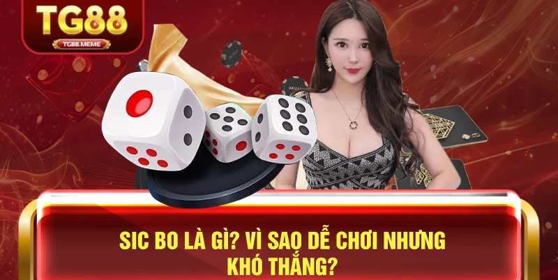 Sic Bo Là Gì? Vì Sao Dễ Chơi Nhưng Khó Thắng?